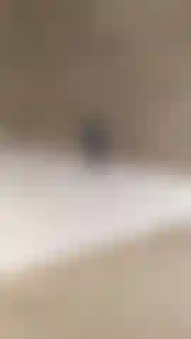 En levrette dans la douche je me lave et me caresse la chatte. Chatte et anus en gros plan pour toi.