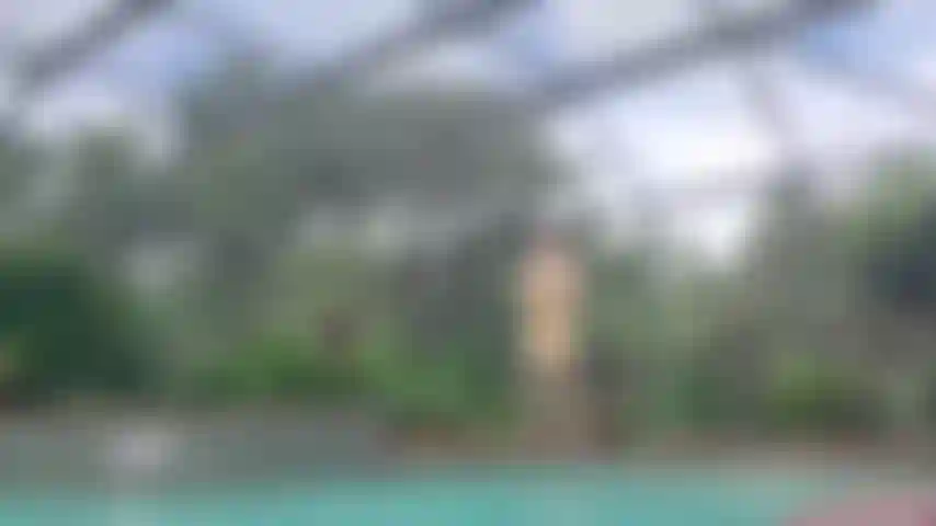 9 Mois de grossesse maigre - parties 2 et 3.