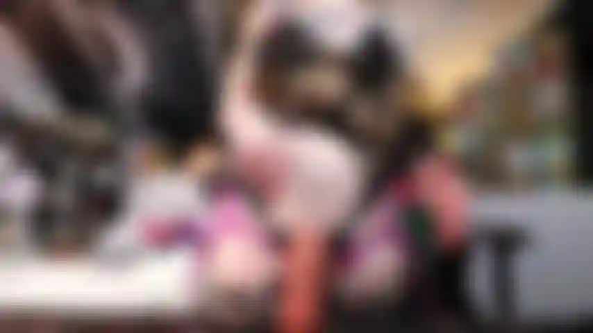 Ma petite amie gothique t'attache.