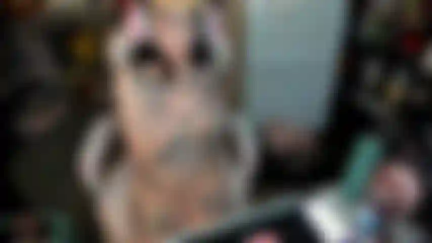 Gamer girl se masturbe pour toi et donne un bj en désordre.