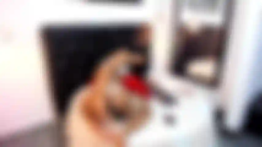 Show anal !! Ton butin préféré.