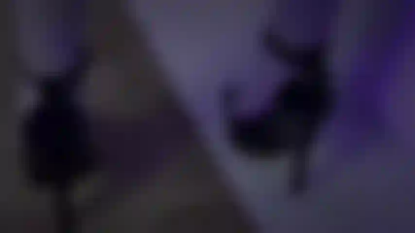 with your sensual love , make my dream a truthand take me to the world where I can dream