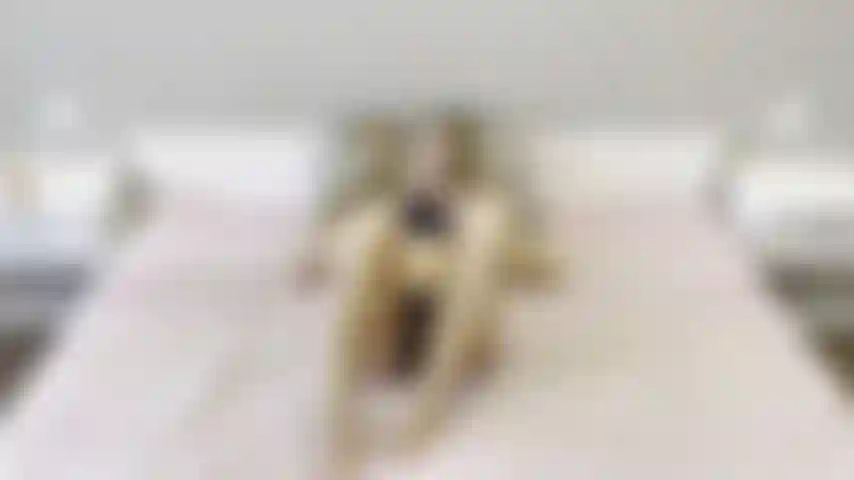 Solo 08/01/2023. J'adore voir comment je joue avec mon gode et rendre cette chatte super crémeuse ?