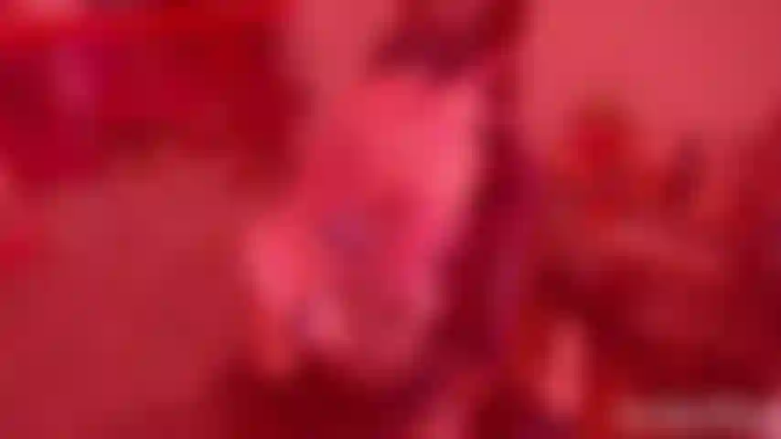 Joi défie le cosplay de lapin vert-rouge.