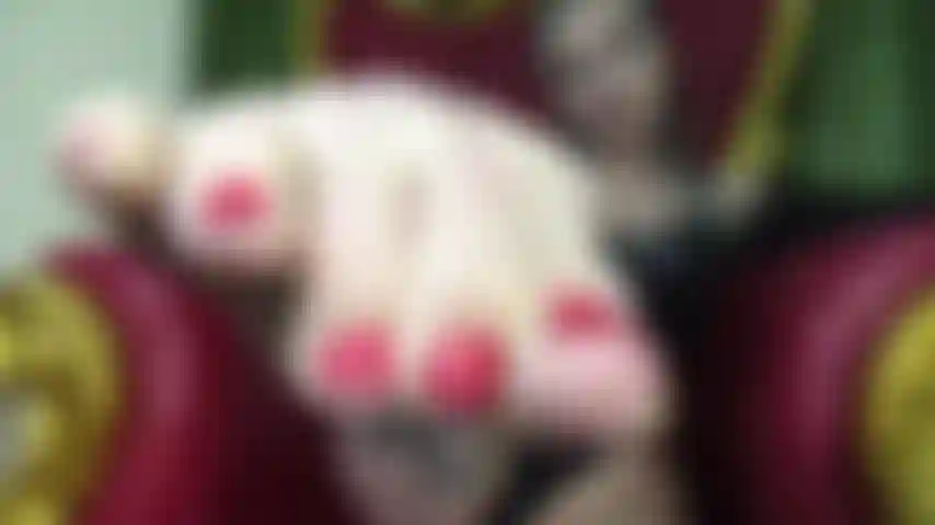 Perverse du pied asmr.